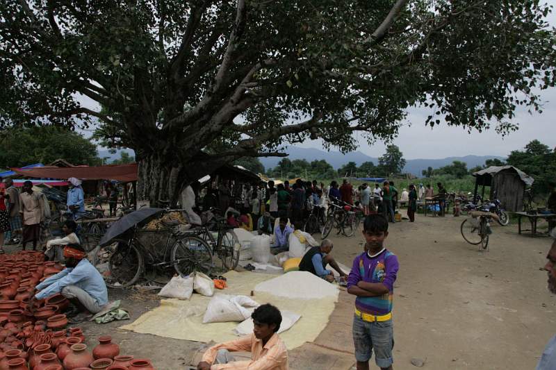 India & Nepal 2011 - 0631